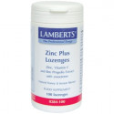 ZINC PLUS 100 COMP MASTICABLES LAMBERTS