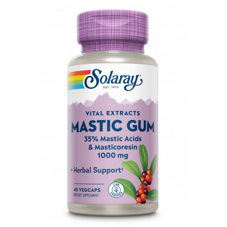 MASTIC GUM 500MG 45 CAP VEG SOLARAY