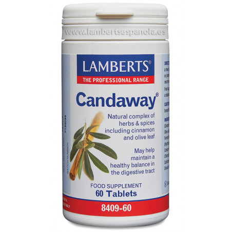 CANDAWAY 60 COMP LAMBERTS