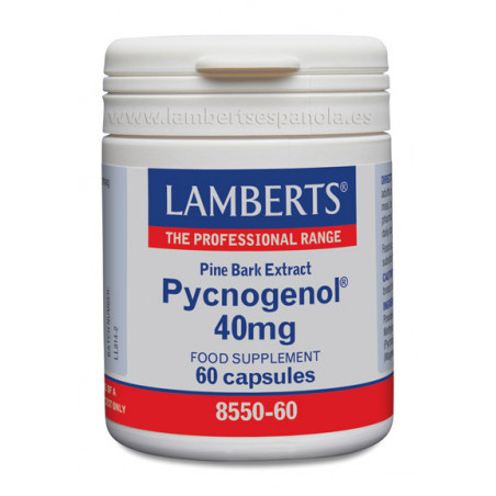 PICNOGENOL 40 MG 60 CAP LAMBERTS
