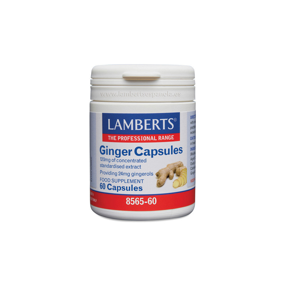 JENGIBRE 60 CAP (GINGER) LAMBERTS