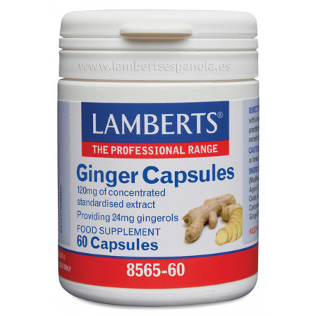 JENGIBRE 60 CAP (GINGER) LAMBERTS