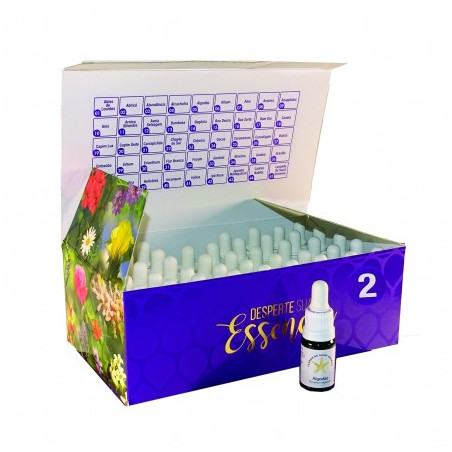 Comprar online SAINT GERMAIN SET 45 ESENCIAS MODULO II SAINT GERMAIN