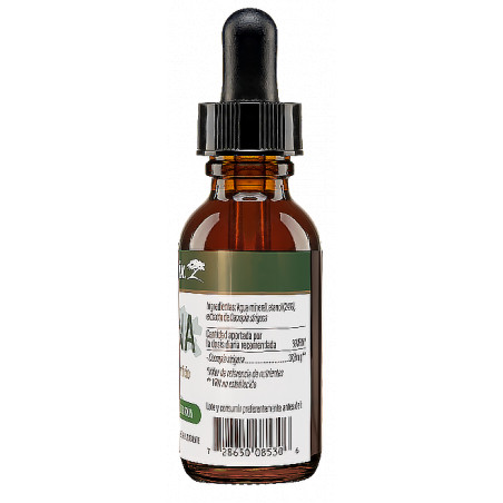 Comprar VITALMEDIX 60 ML NUTRAMEDIX online - Farmacia Coliseum