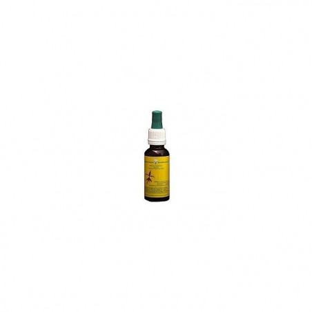 Comprar VERVAIN 20 ML MEDITERRANEO online - Farmacia Coliseum
