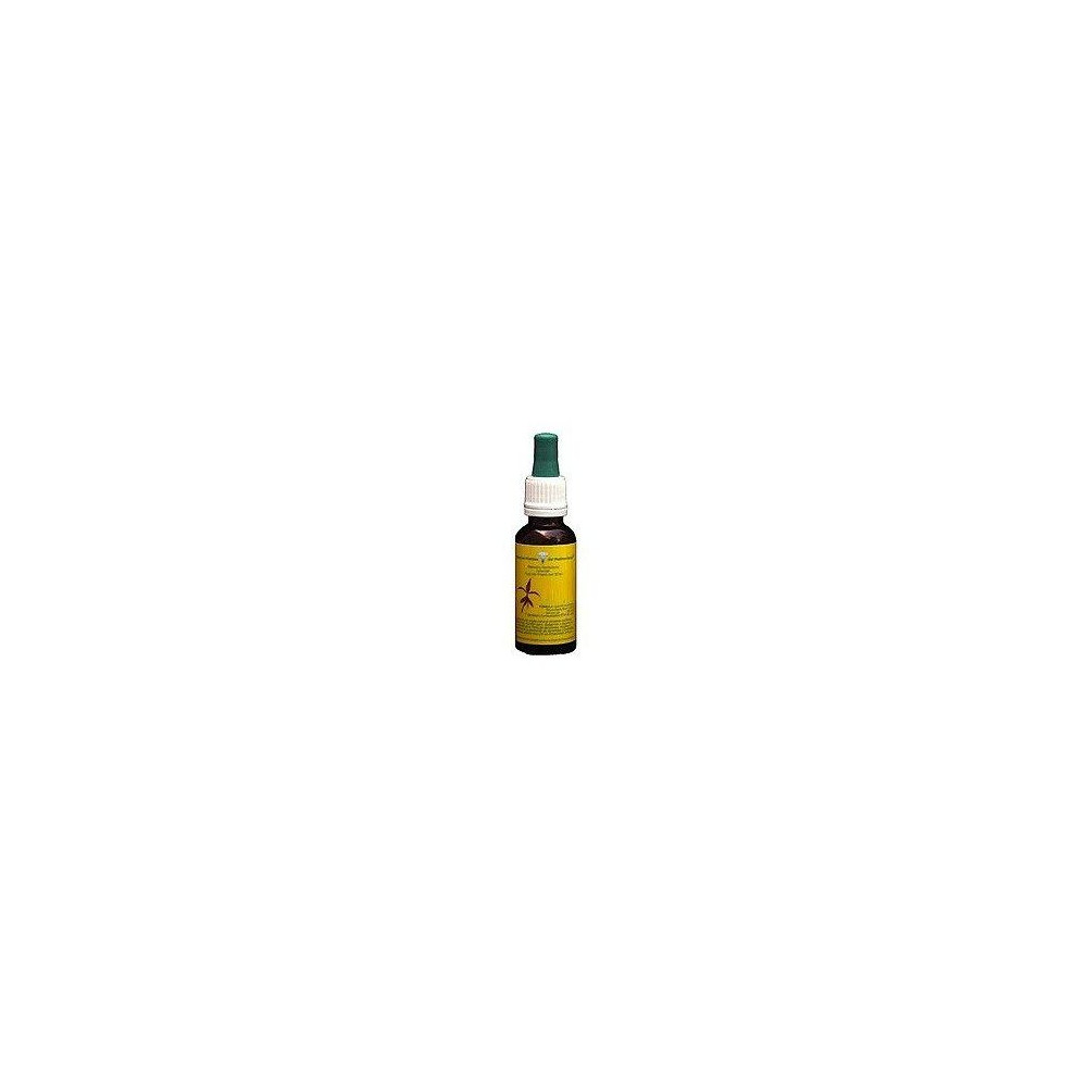 Comprar VERBASCO 20 ML MEDITERRANEO online - Farmacia Coliseum