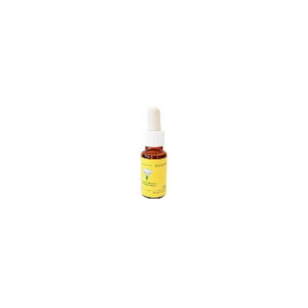 Comprar PINE 20 ML MEDITERRANEO online - Farmacia Coliseum