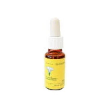 Comprar PINE 20 ML MEDITERRANEO online - Farmacia Coliseum