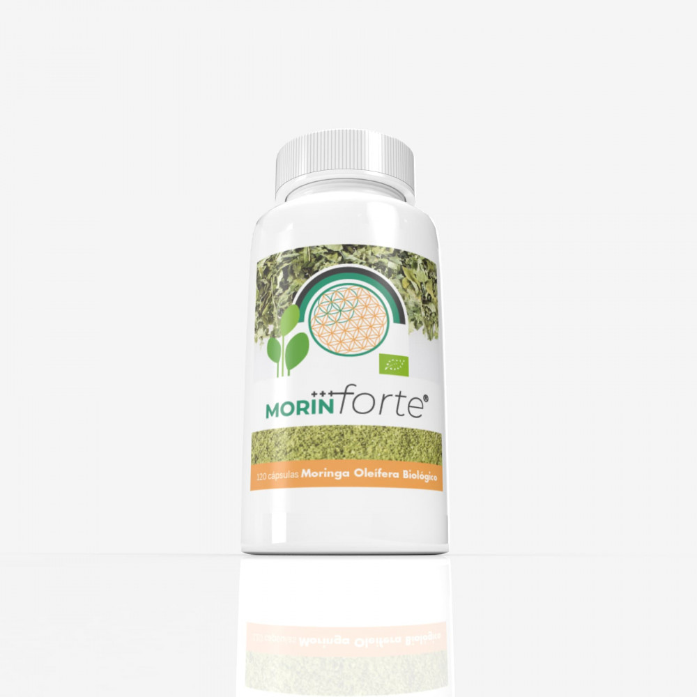 Comprar MORIN FORTE 120 CAP MARGAN BIOTECH online - Farmacia Coliseum