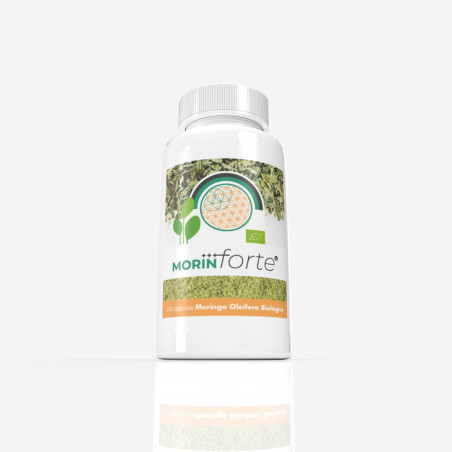 Comprar MORIN FORTE 120 CAP MARGAN BIOTECH online - Farmacia Coliseum