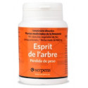 ESPRIT DE L'ARBRE (ILEX PARAGUARIENSIS) 90 CAPS. ABORIGEN. NUTRIPRAXIS