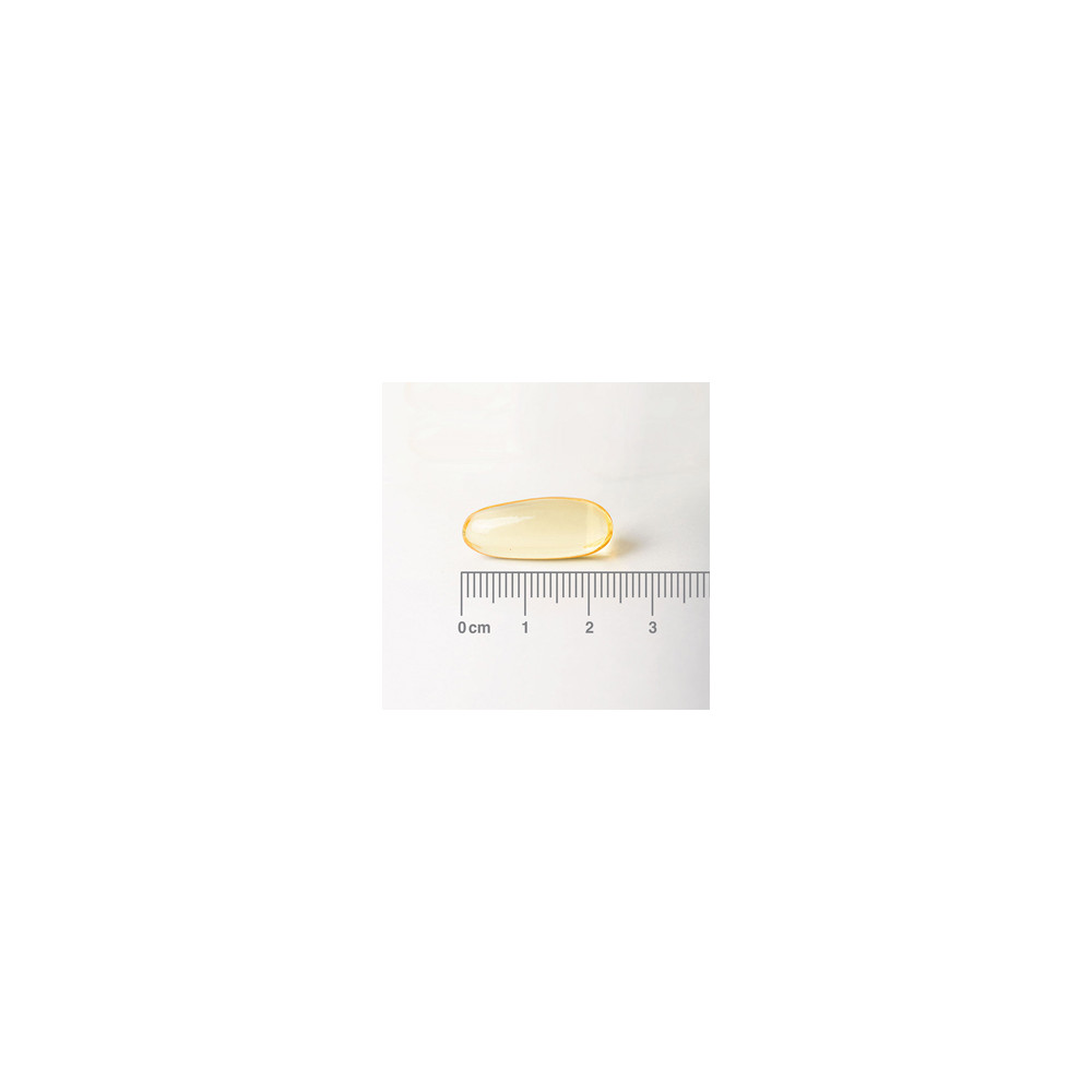 PRIMULA (EVENING PRIMROSE) 1000 MG 90 CAP LAMBERTS