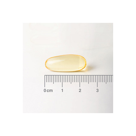 PRIMULA (EVENING PRIMROSE) 1000 MG 90 CAP LAMBERTS