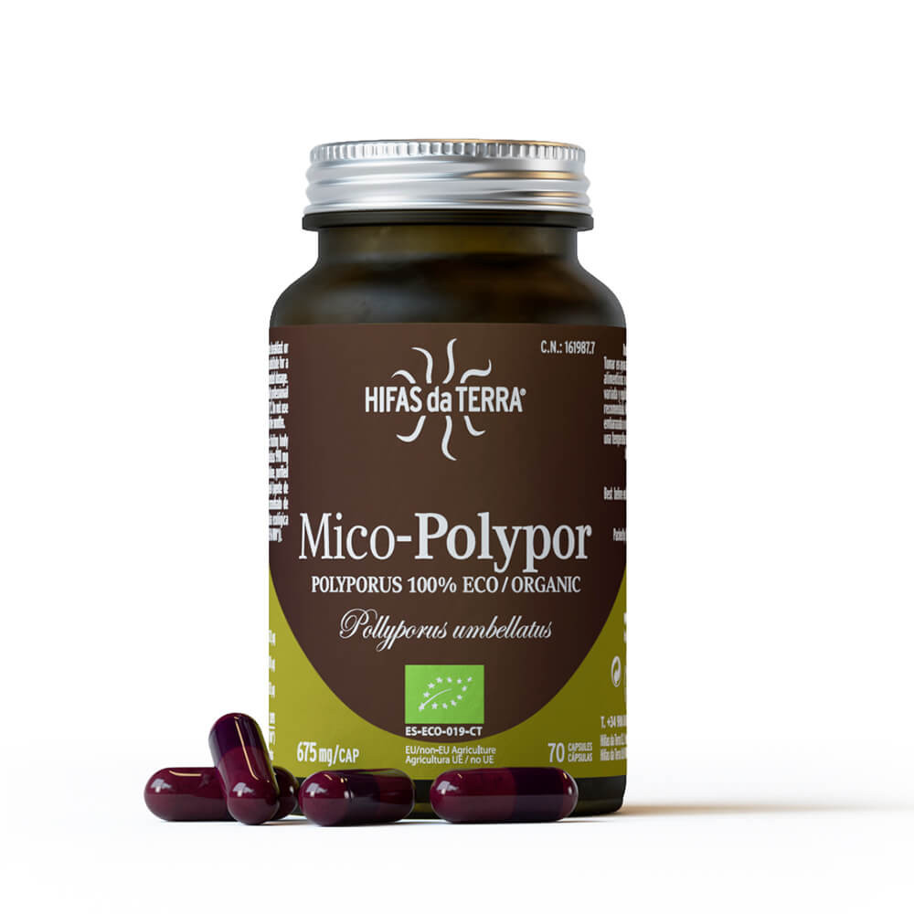 MICO POLYPOR POLYPORUS 70 CAP HDT HIFAS DA TERRA