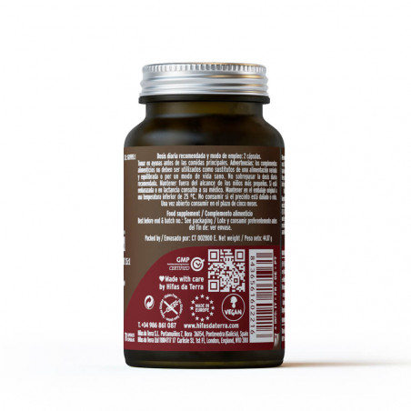 MICO REI REISHI 70 CAP HDT HIFAS DA TERRA