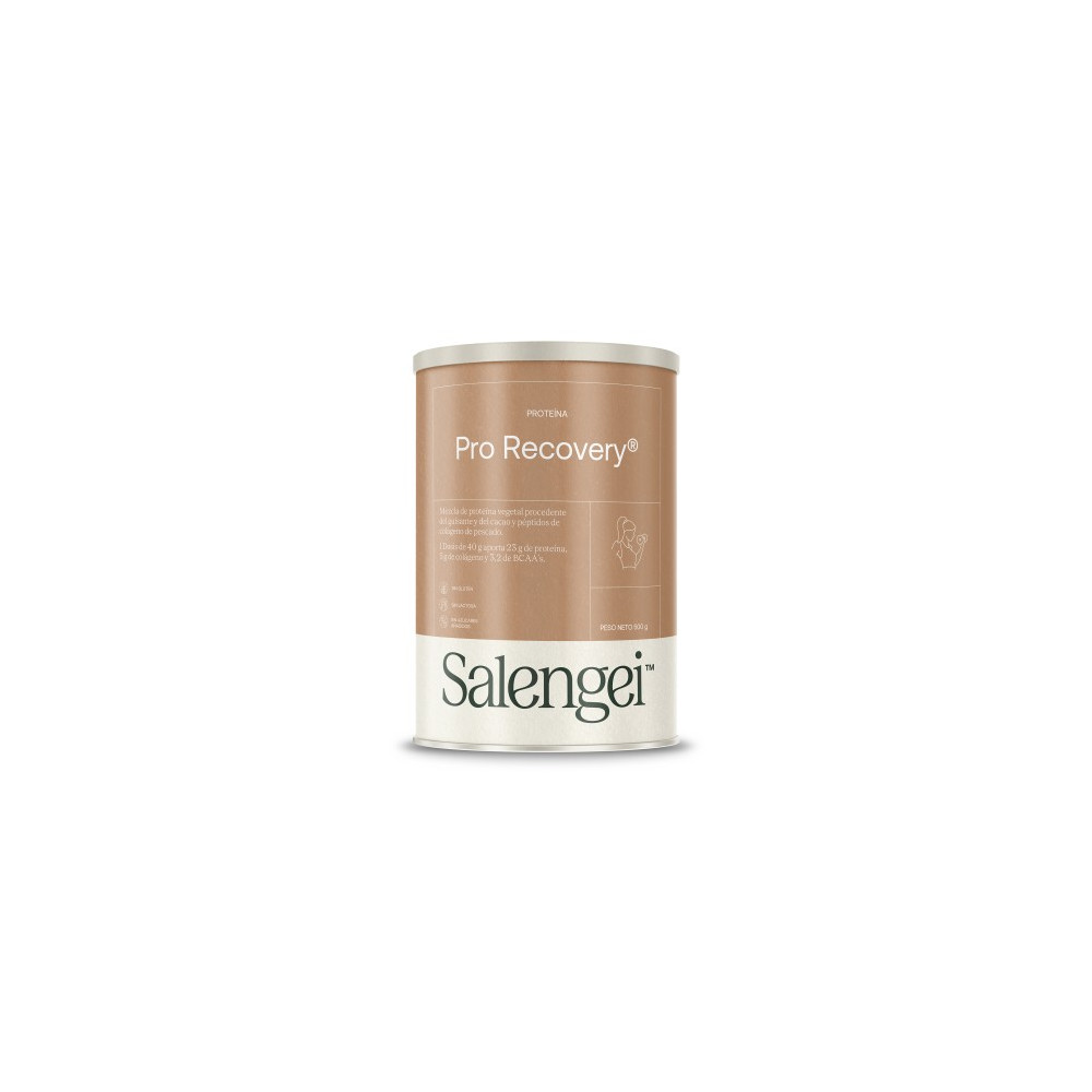 Comprar online PROTEINA PRO RECOVERY 500 GR SALENGEI