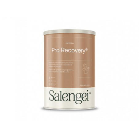 Comprar online PROTEINA PRO RECOVERY 500 GR SALENGEI
