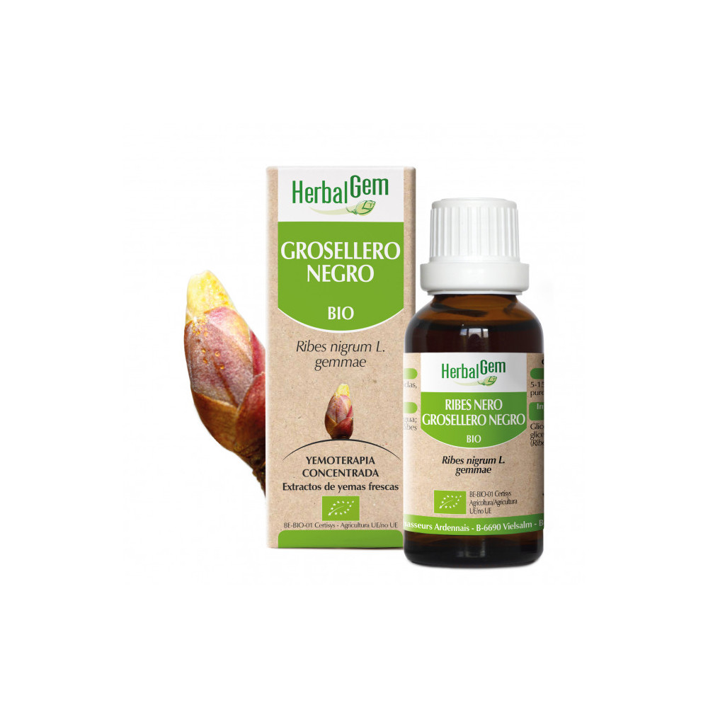 GROSELLERO NEGRO YEMODERIVADO BIO 15 CC HERBALGEM
