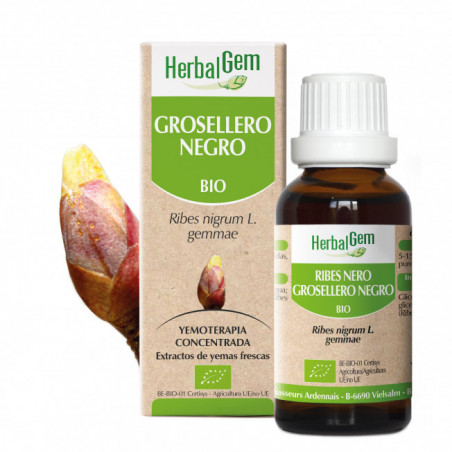 GROSELLERO NEGRO YEMODERIVADO BIO 15 CC HERBALGEM