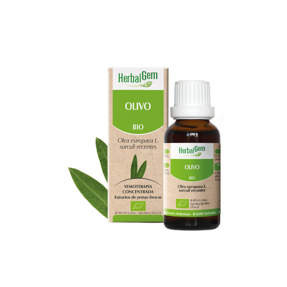 OLIVO YEMODERIVADO BIO 30 CC HERBALGEM