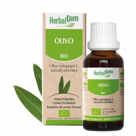 OLIVO YEMODERIVADO BIO 30 CC HERBALGEM
