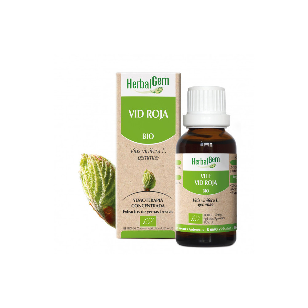 VID ROJA YEMODERIVADO BIO 15 CC HERBALGEM
