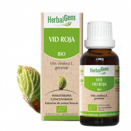 VID ROJA YEMODERIVADO BIO 15 CC HERBALGEM