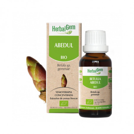 ABEDUL YEMODERIVADO BIO 30 CC HERBALGEM