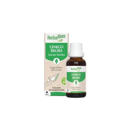 GINKGO BILOBA YEMODERIVADO BIO 30 CC HERBALGEM