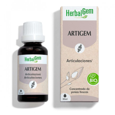 Comprar online ARTIGEM YEMOCOMPLEJO BIO 50 CC HERBALGEM - Farmacia Coliseum
