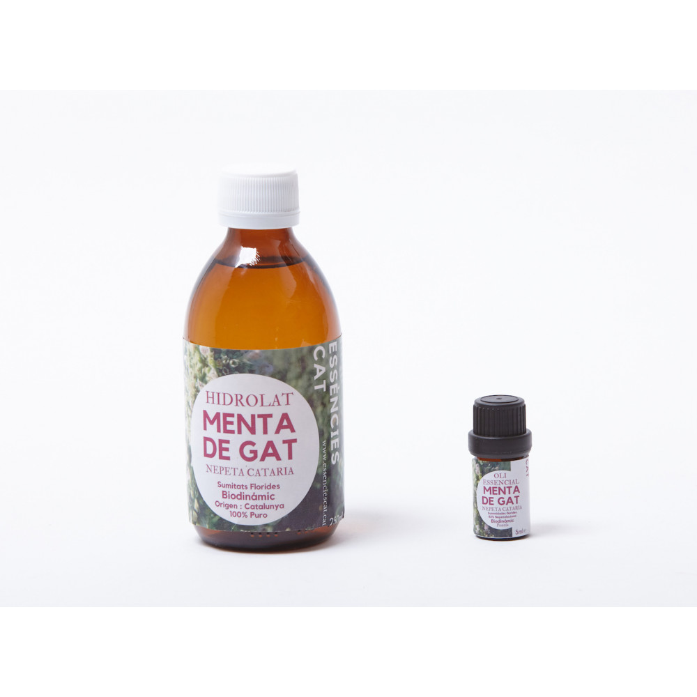 Comprar MENTA DE GATO - NEPETA CATARIA 5 ML ESSENCIESCAT online