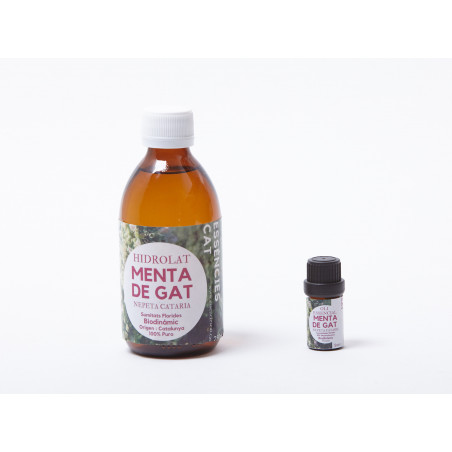 Comprar MENTA GATERA 250ML.HIDROLATO ESSENCIESCAT online - Coliseum