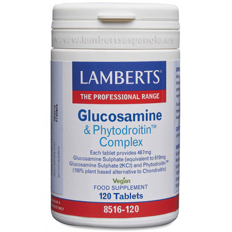 GLUCOSAMINA CONDROITINA 120  COMP LAMBERTS