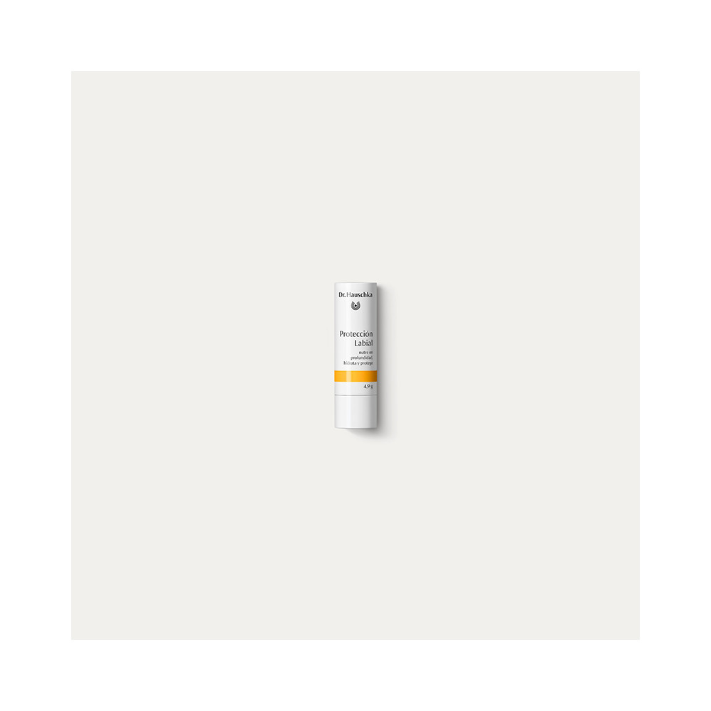 LAPIZ LABIAL 5 G.DR. HAUSCHKA