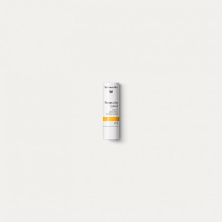 LAPIZ LABIAL 5 G.DR. HAUSCHKA