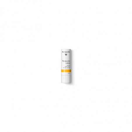 LAPIZ LABIAL 5 G.DR. HAUSCHKA