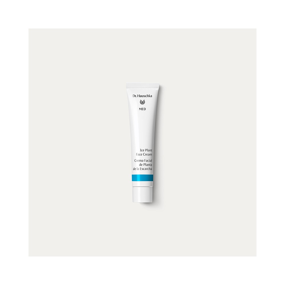 CREMA FACIAL ESCARCHA 40 ML DR. HAUSCHKA