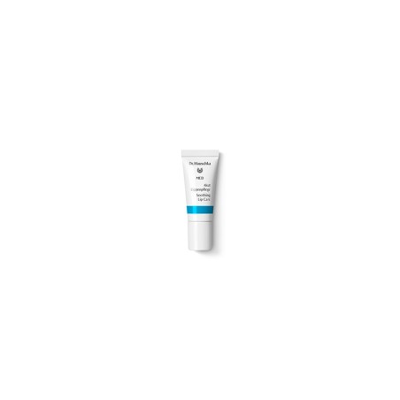 MED CUIDADO LABIAL LABIMINT 5 ML DR. HAUSCHKA