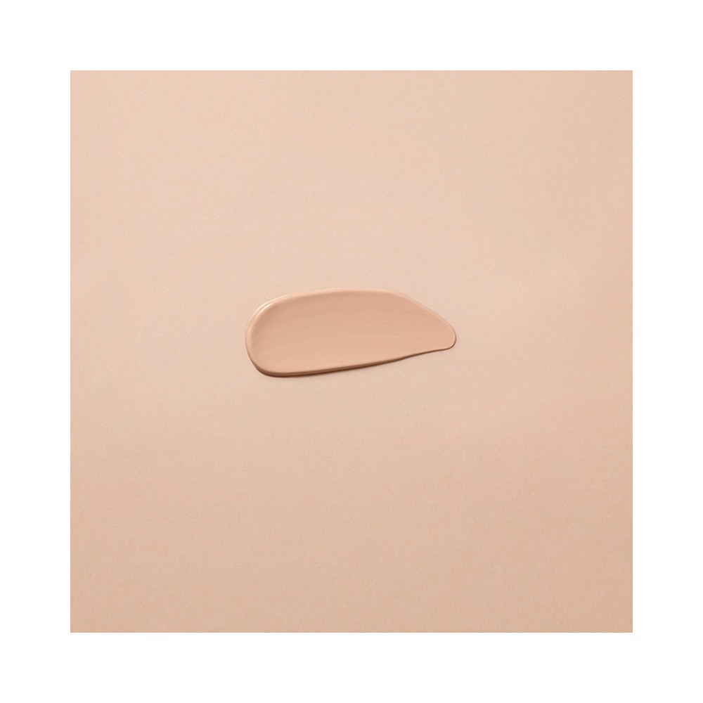 CORRECTOR 02 CHESTNUT 2,5 MLDR. HAUSCHKA