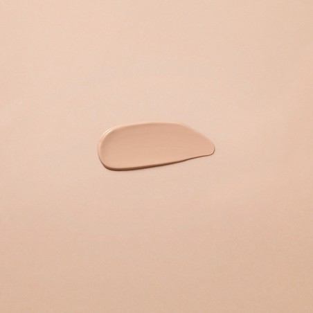 CORRECTOR 02 CHESTNUT 2,5 MLDR. HAUSCHKA