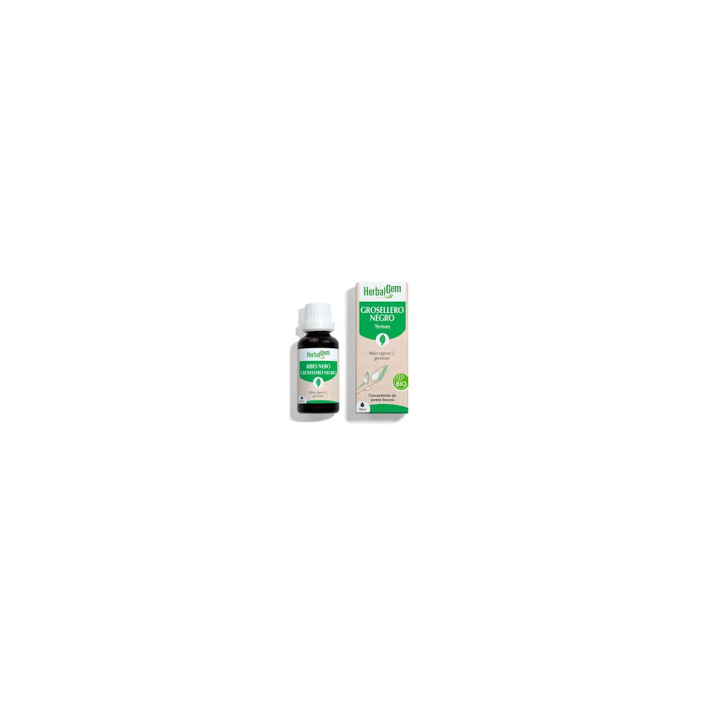 GROSELLERO NEGRO YEMODERIVADO BIO 30 CC HERBALGEM