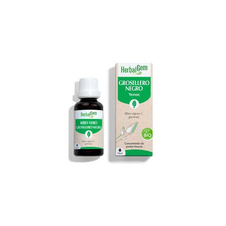 GROSELLERO NEGRO YEMODERIVADO BIO 30 CC HERBALGEM
