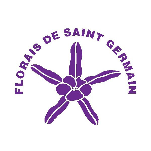SAINT GERMAIN MANGIFERA 10 ML