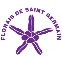 SAINT GERMAIN FLOR BLANCA 10 ML.