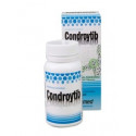CONDROYTIB 90 COMP GEAMED
