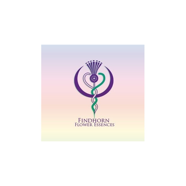 FINDHORN SEA HOLY (ERINGIO MARITIMO) 15 ML