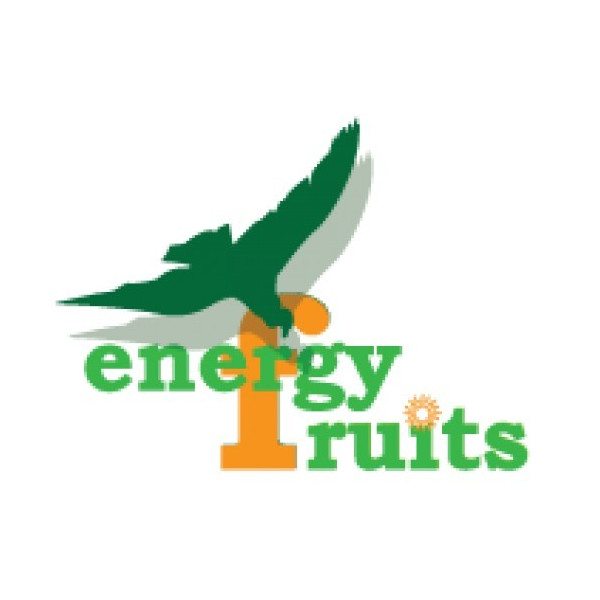 SPIRULINA 200 GR ENERGY FRUITS