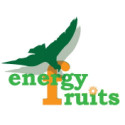 MACA POLVO ECO 200 GR  ENERGY FRUITS