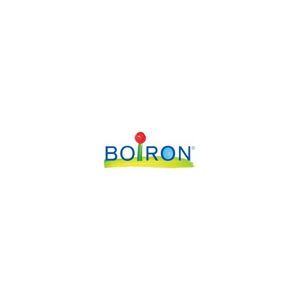 GEL DAPIS 40 G BOIRON