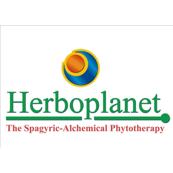 DISPEPSOL 60 COMP HERBOPLANET